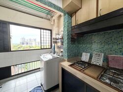 Blk 30 Holland Close (Queenstown), HDB 4 Rooms #599259041